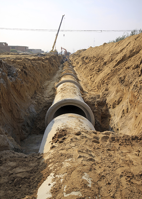 Professional Excavator fp utility